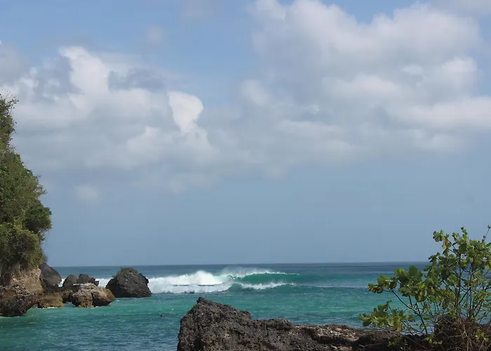 Adi Bali