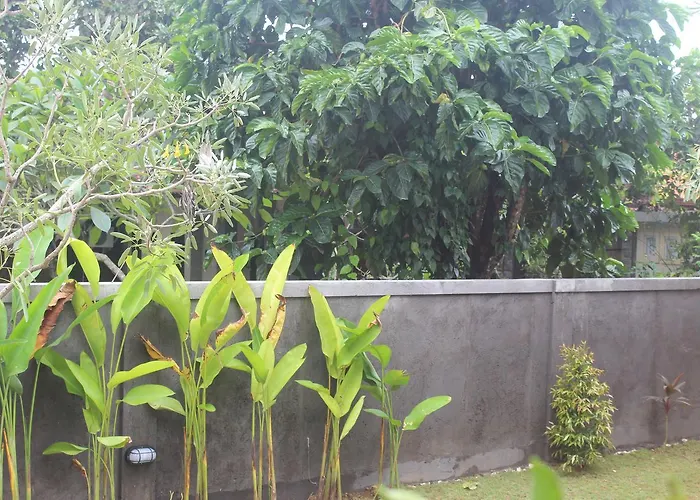 Adi Bali 3*